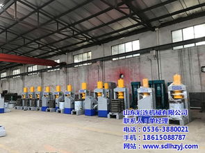 彩連液壓壓榨機生產廠家 全自動壓榨機廠家 西藏壓榨機